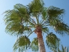 100_4397.jpg